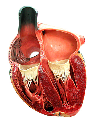Precarico ventricolare